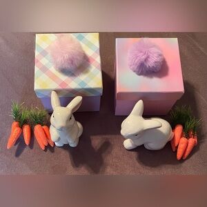 Ceramic Bunny Figurines with Gift Boxes NIB